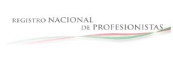 Registro Nacional de Profesionistas